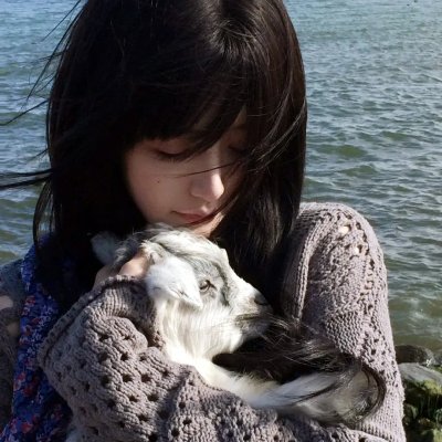 芙图娜的异想世界
