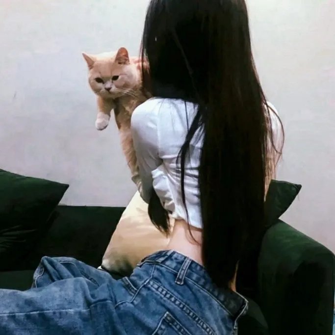 商谍2