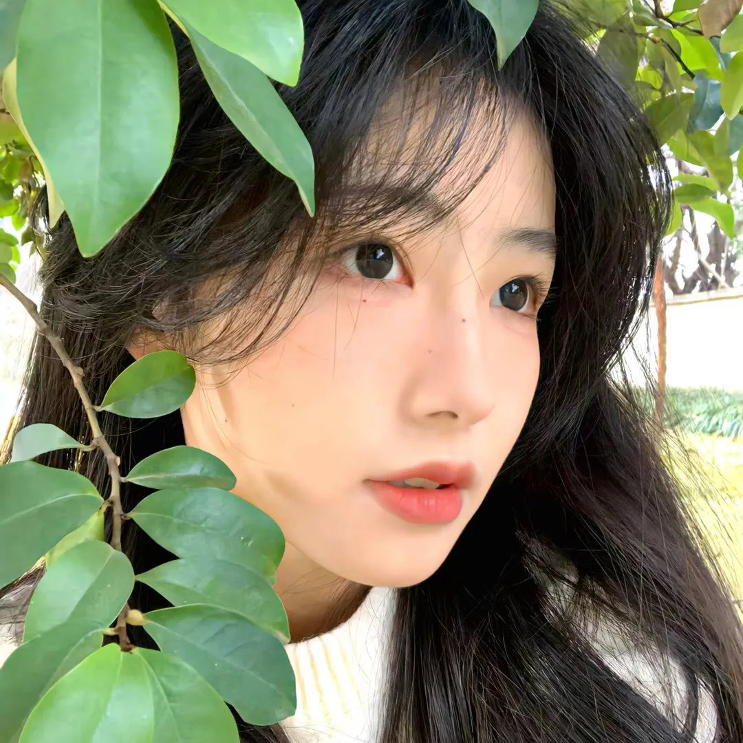凯撒密令
